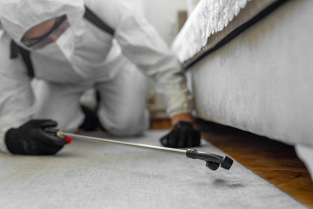 Professional Termite Control technician working in Steele Creek, AK