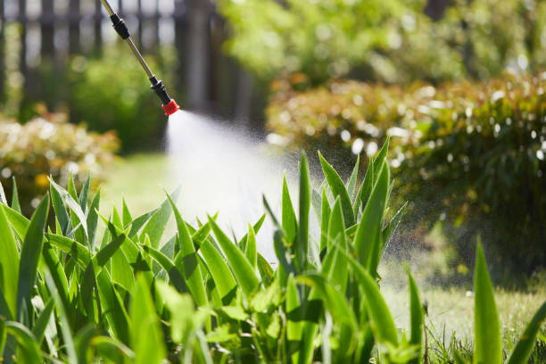 24/7 Emergency Termite Control experts in Steele Creek, AK