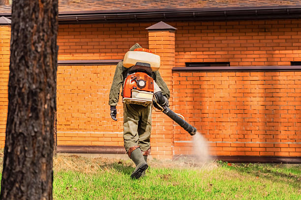 Trusted Ant Control service in Steele Creek, AK - Nex Pest Control